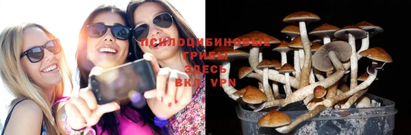 молекула духа Алзамай