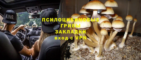 сатива Алексеевка